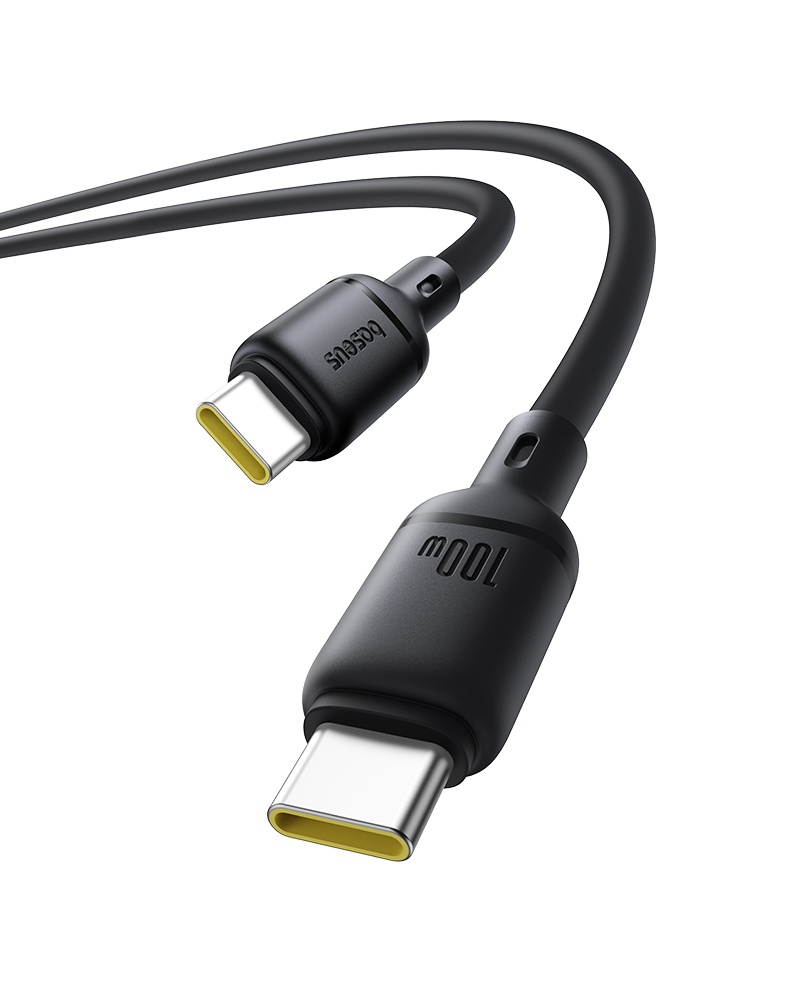 Silky 充電ケーブル USB-C to C 100W 1m