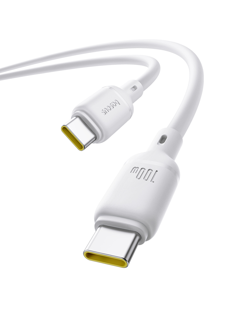 Silky 充電ケーブル USB-C to C 100W 1m