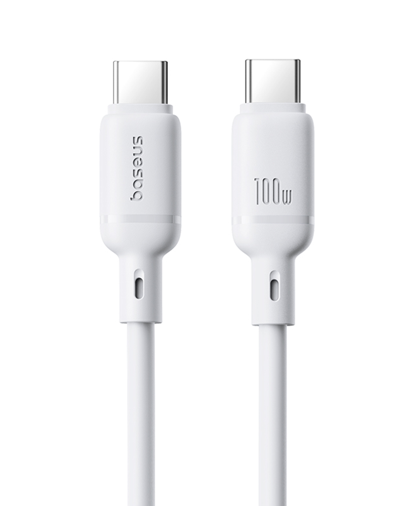 Silky 充電ケーブル USB-C to C 100W 1m